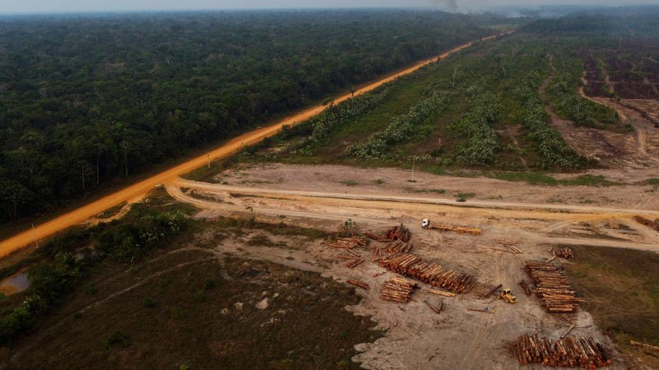 Under Bolsonaro, average annual deforestation increased by 75 percent compared to the previous decade.
