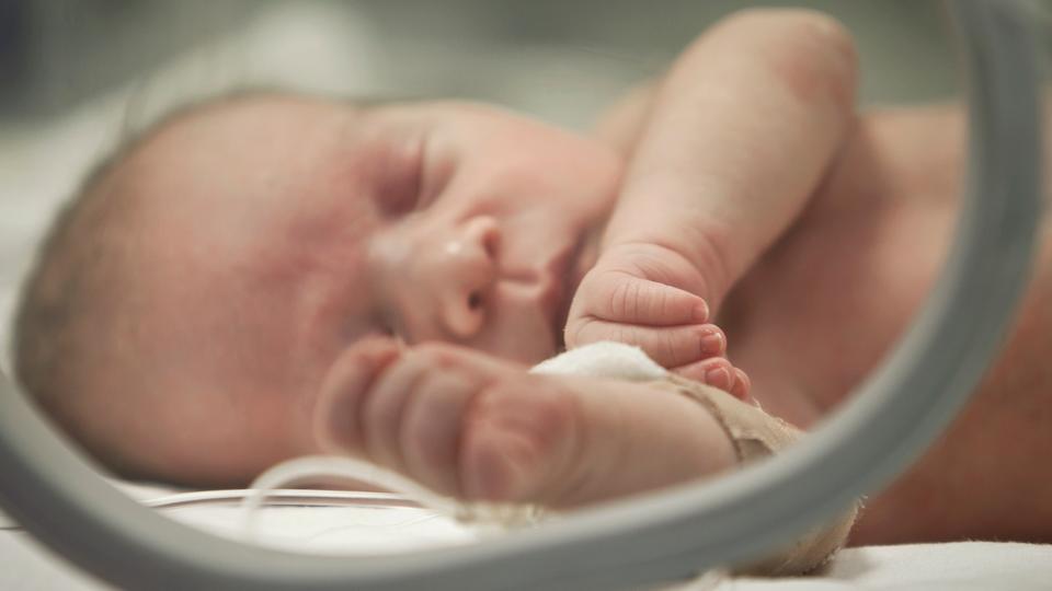 Top names for newborns were Noah and Emma, says Dutch Social Insurance Bank.