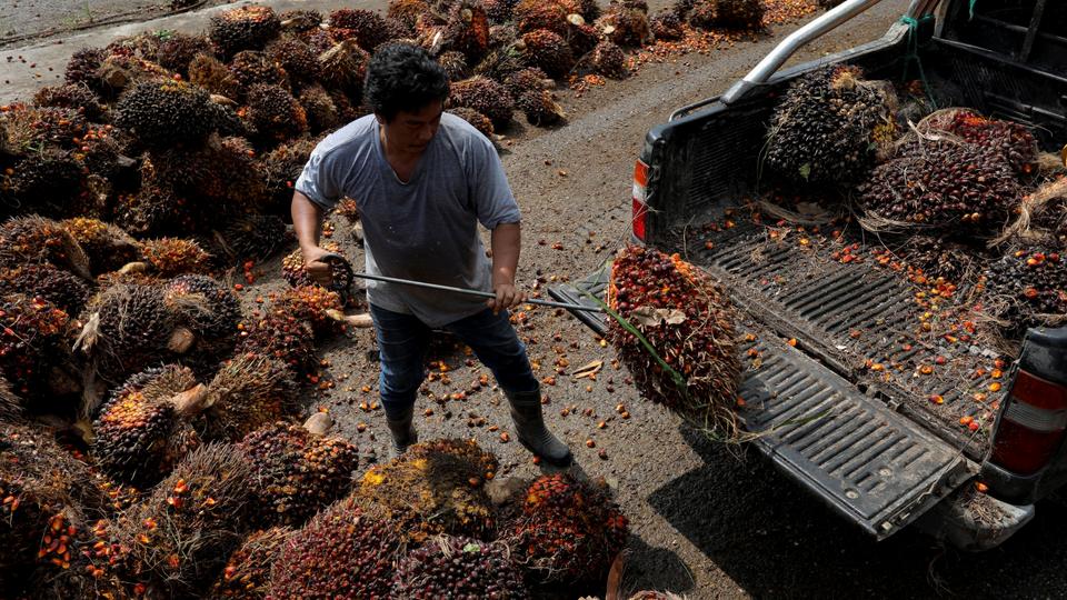 Malaysia and Indonesia, the world's largest palm oil exporters, accuse the EU of blocking market access for their palm oil.