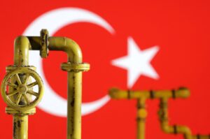 A model of a natural gas pipeline backdropped by Türkiye's flag, July 18, 2022. (Reuters Photo)
